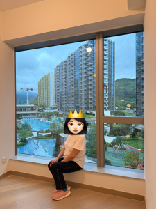 柏瓏業主免佣出租 ，已有少量傢俬，可即刻入住 - 28NTS – 香港北部都會區