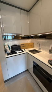 柏瓏業主免佣出租 ，已有少量傢俬，可即刻入住 - 28NTS – 香港北部都會區