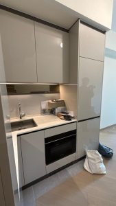 柏瓏業主免佣出租 ，已有少量傢俬，可即刻入住 - 28NTS – 香港北部都會區