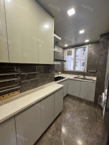 星提租盤-中層帶露台3房2廳 - 28NTS – 香港北部都會區