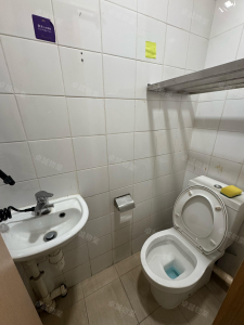 星提租盤-中層帶露台3房2廳 - 28NTS – 香港北部都會區