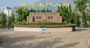 SSV (4) 業主自譲,真正免佣 - 28NTS – 香港北部都會區