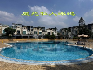 SSV (9) 真正 “業主自讓盤”0佣金。尺價萬元有找。即买即住 - 28NTS – 香港北部都會區