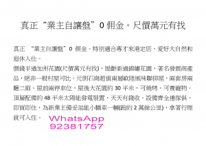 _页面_1 真正 “業主自讓盤”0佣金。尺價萬元有找。即买即住 - 28NTS – 香港北部都會區