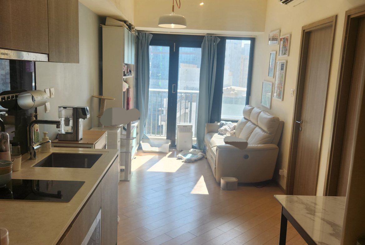 朗屏站新鴻基 映御 向南398尺大一房單位 - 28NTS – 香港北部都會區