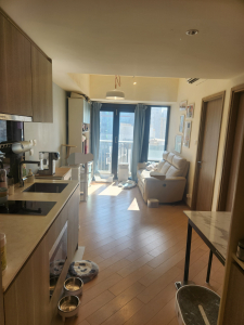 朗屏站新鴻基 映御 向南398尺大一房單位 - 28NTS – 香港北部都會區