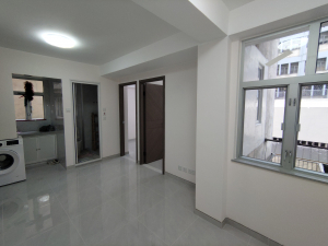 113101 元朗市中心 好利洋樓 低層 D 座 旺中帶靜 全新裝修 光猛四正 兩房一廳業主盤 - 28NTS – 香港北部都會區