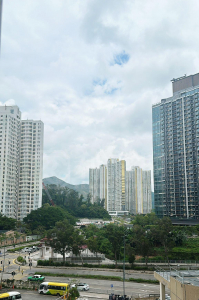 盈豐園 1座 - 28NTS – 香港北部都會區