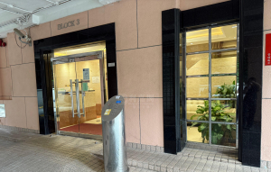翠濤閣 3座 - 28NTS – 香港北部都會區