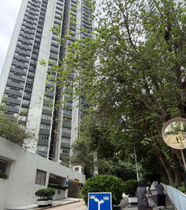 翠濤閣 3座 - 28NTS – 香港北部都會區