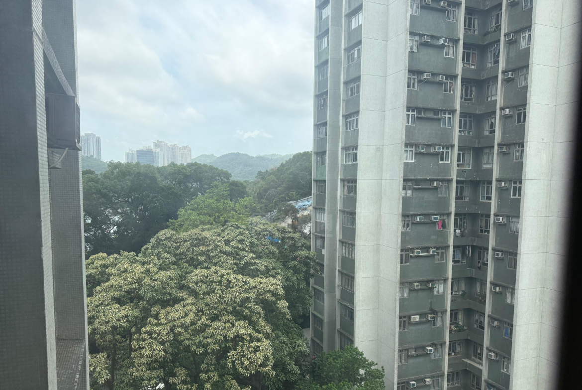翠濤閣 3座 - 28NTS – 香港北部都會區