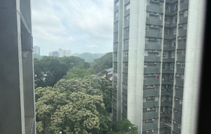 翠濤閣 3座 - 28NTS – 香港北部都會區