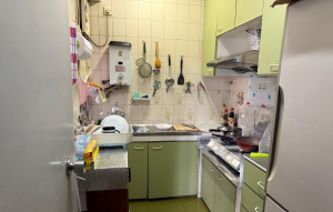 翠濤閣 3座 - 28NTS – 香港北部都會區