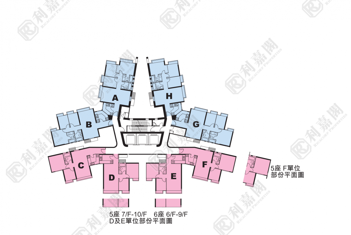 東堤灣畔 2期 5座 - 28NTS – 香港北部都會區