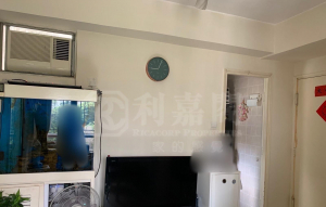 荃德花園 B座 - 28NTS – 香港北部都會區