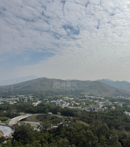 尚悅 8座 - 28NTS – 香港北部都會區