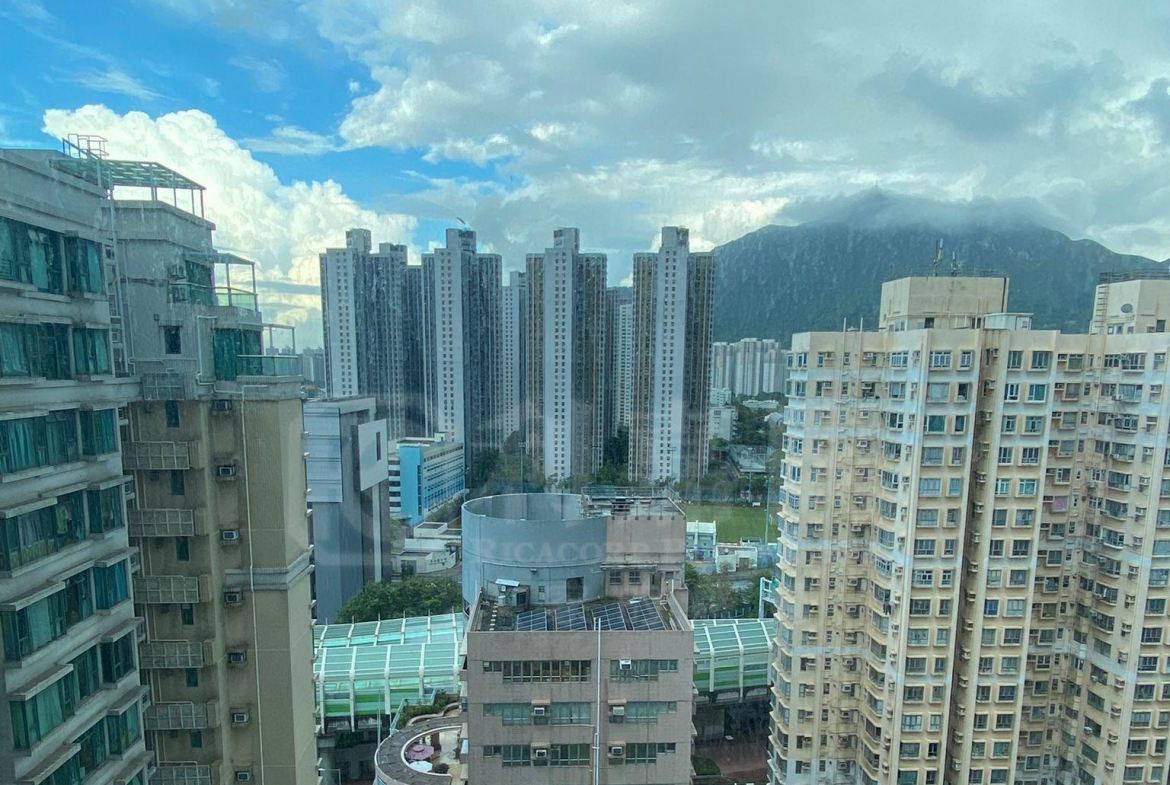 龍成花園 2座 - 28NTS – 香港北部都會區