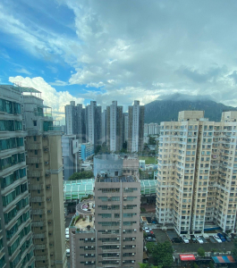 龍成花園 2座 - 28NTS – 香港北部都會區