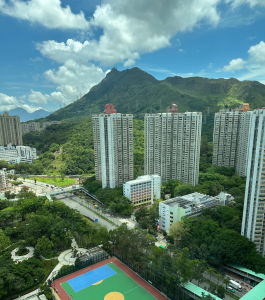 海麗花園 2座 - 28NTS – 香港北部都會區