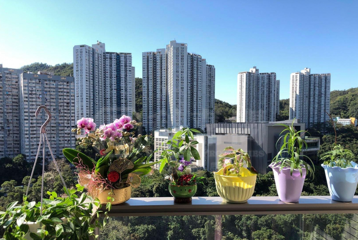 綠悠雅苑 2座 - 28NTS – 香港北部都會區