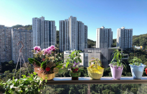 綠悠雅苑 2座 - 28NTS – 香港北部都會區