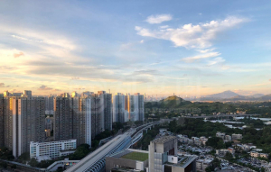 屏欣苑 B座 (屏彥閣) - 28NTS – 香港北部都會區