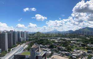 屏欣苑 B座 (屏彥閣) - 28NTS – 香港北部都會區