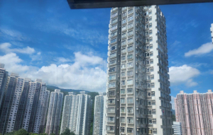 荃德花園 D座 - 28NTS – 香港北部都會區