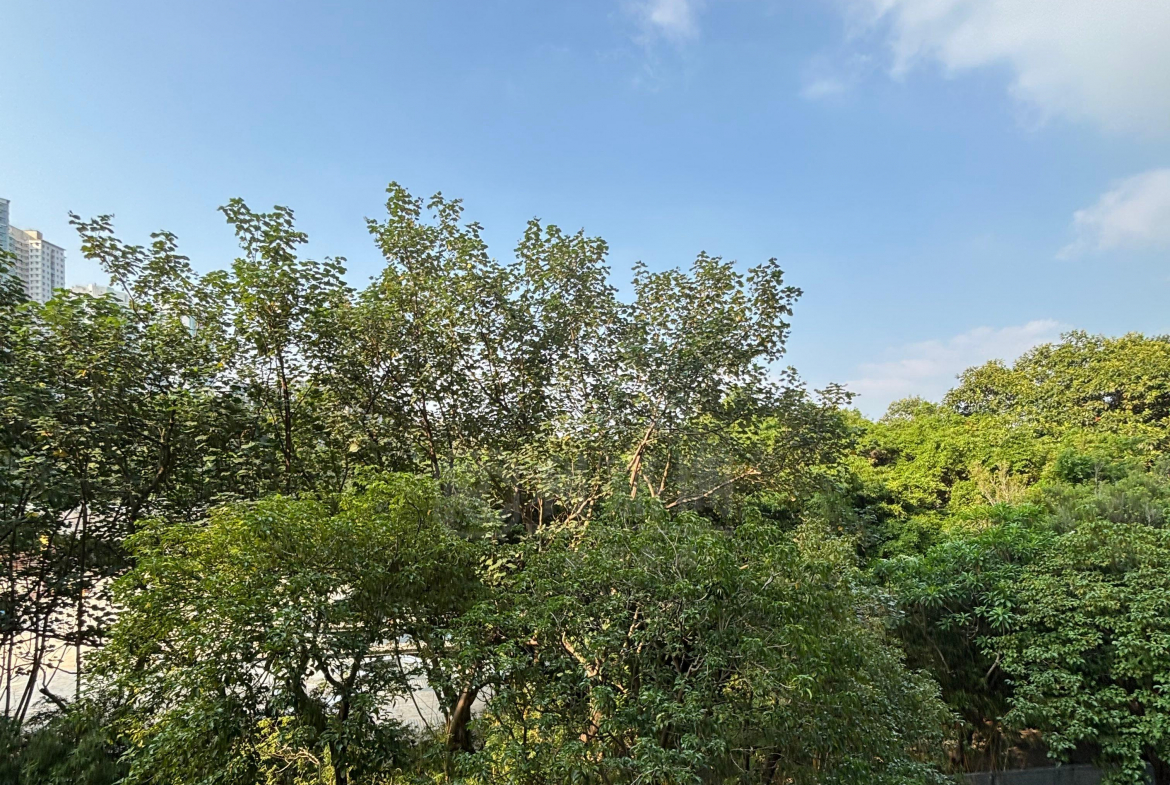 WETLAND SEASONS PARK 2期 2座 - 28NTS – 香港北部都會區