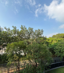 WETLAND SEASONS PARK 2期 2座 - 28NTS – 香港北部都會區