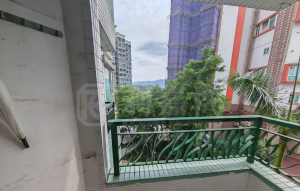 蝶翠峰 2期 9座 - 28NTS – 香港北部都會區