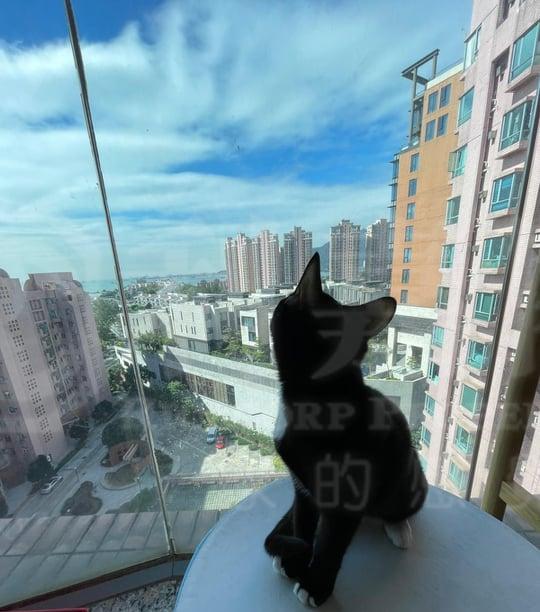 瑜翠園 7座 - 28NTS – 香港北部都會區