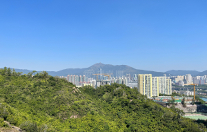 明翹匯 2座 - 28NTS – 香港北部都會區