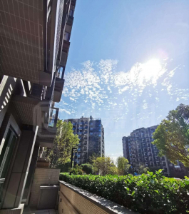 WETLAND SEASONS PARK 3期 1座 - 28NTS – 香港北部都會區