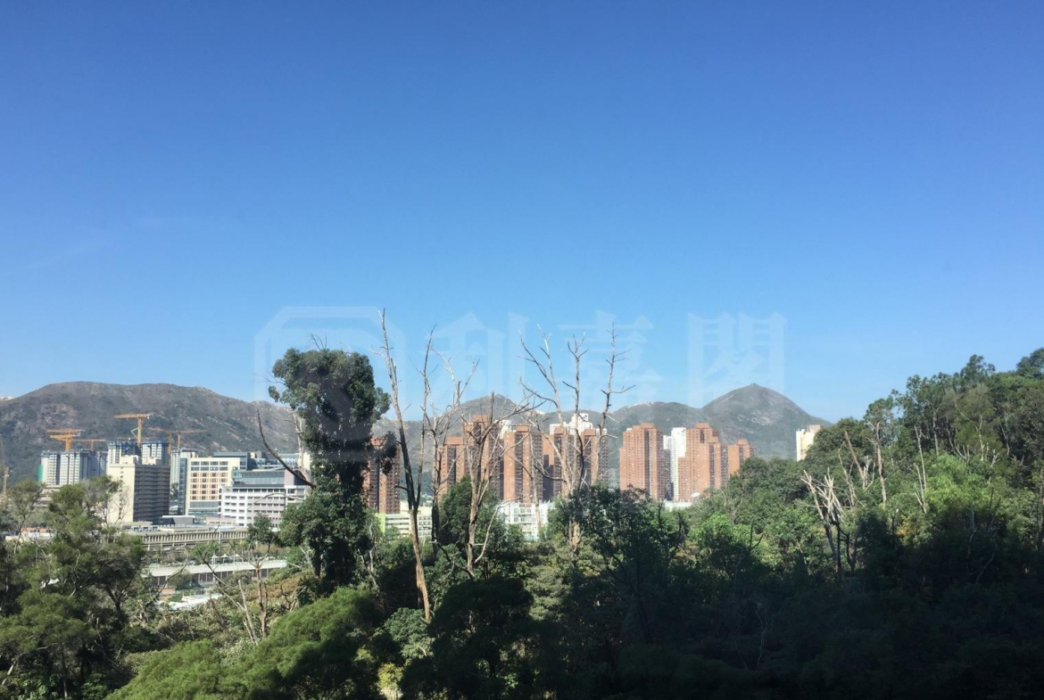 御半山 2期 2B座 - 28NTS – 香港北部都會區