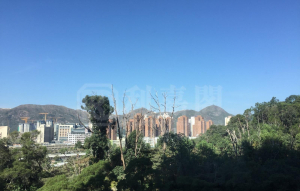 御半山 2期 2B座 - 28NTS – 香港北部都會區