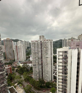 偉景花園 2座 - 28NTS – 香港北部都會區