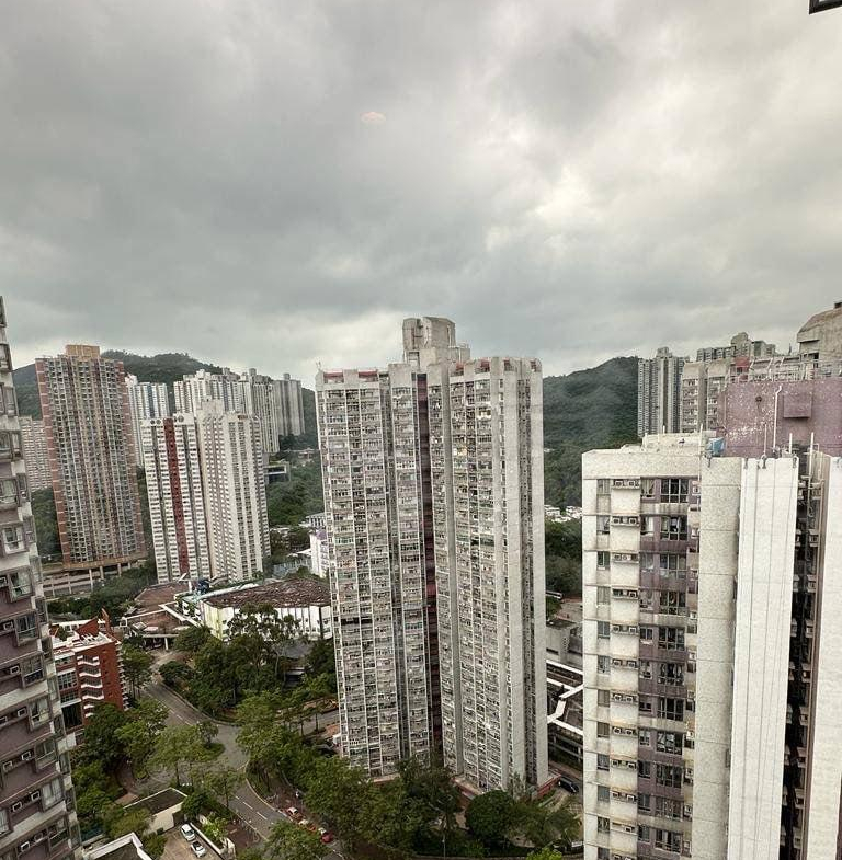 偉景花園 2座 - 28NTS – 香港北部都會區