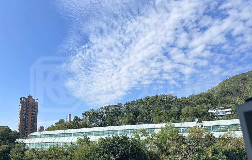翠濤閣 3座 - 28NTS – 香港北部都會區