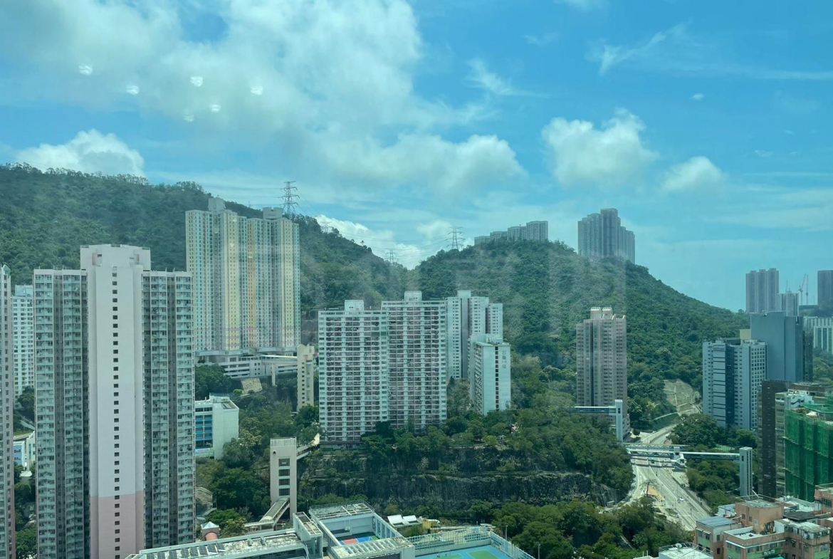 雍雅軒 1座 - 28NTS – 香港北部都會區