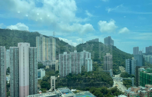 雍雅軒 1座 - 28NTS – 香港北部都會區