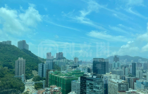 雍雅軒 1座 - 28NTS – 香港北部都會區