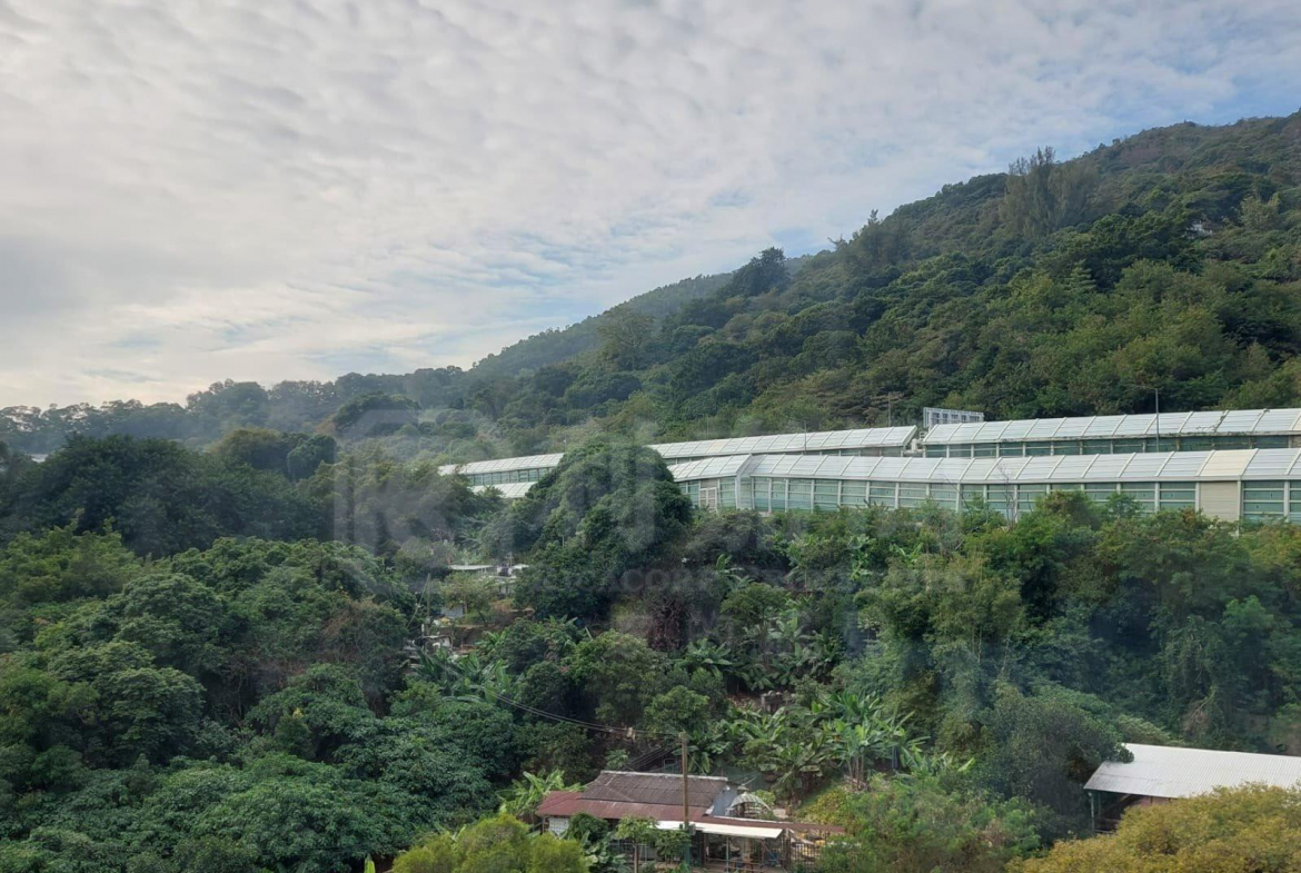 麗城花園 1期 3座 - 28NTS – 香港北部都會區