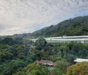 麗城花園 1期 3座 - 28NTS – 香港北部都會區