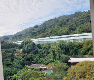 麗城花園 1期 3座 - 28NTS – 香港北部都會區