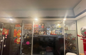 青雅苑 - 28NTS – 香港北部都會區