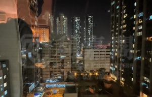 爵悅庭 北爵軒 (B2) - 28NTS – 香港北部都會區