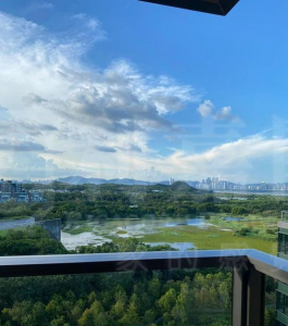 WETLAND SEASONS PARK 2期 12座 - 28NTS – 香港北部都會區