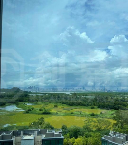 WETLAND SEASONS PARK 2期 12座 - 28NTS – 香港北部都會區