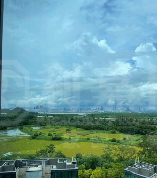 WETLAND SEASONS PARK 2期 12座 - 28NTS – 香港北部都會區